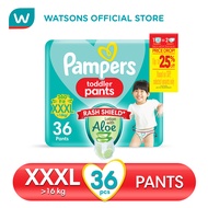 PAMPERS Baby Dry Pants XXL 36s