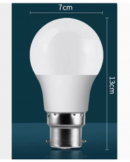 DDS - LED節能燈泡E22卡口（15W 黃光）#N249_ 005_ 067
