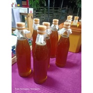 madu lebah hutan asli orang kampung