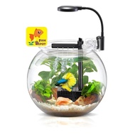 Nubios NB-100S 4L / NB-300L 12L Betta Bowl Aquarium Desktop Fish Tank LED Light Filter Mini Aquarium