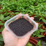 HK HOME DECO Baja Kopi Organik NPK 888 POKOK BUNGA / Organic Fertilizer Flower NPK888