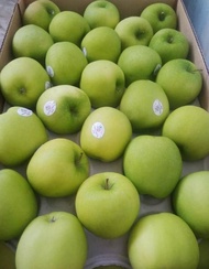Ready Apel Hijau Granny Smith Green Apple Fresh Import Per Dus Best