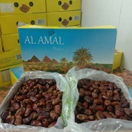 Kurma Al Amal 10kg ( 1 Karton ) / Kurma Mesir Grosir / Kurma Mesir Madu / Kuma Mesir Raja