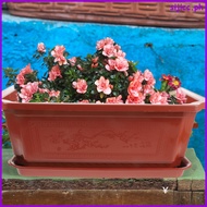 Household Bonsai Flowerpot -lasting Bonsai Pot Plastic Flower Pot Gardening Bonsai Container sijicc
