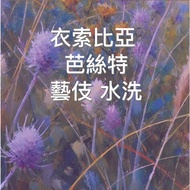 Single Origin Coffee Beans Ethiopia Bast Geisha Washed [Half Pound]