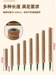 GM4U Extendable Coco Stick Coco Fiber Pole Climbing Plant Support Batang Tiang Sabut Kelapa