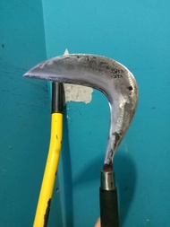 arit rumput baja per asli pinising halus kegunaan untuk berkebun untuk pertanian