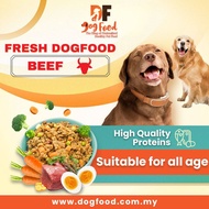 DF Beef Flavor Fresh Dog Food Healthy Pet Food (10x Packs)