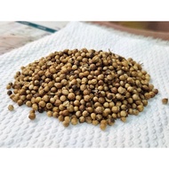 Biji Ketumbar/ Coriander seed