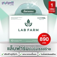 แล็บฟาร์ม (Lab Farm) 1 กล่องบรรจุ 10แคปซูล พร้อมส่ง !! ผลิตภัณฑ์รองรับงานวิจัย