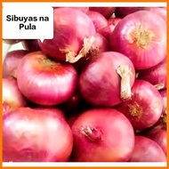 ❣ ⎯ ✰ RED ONION/Sibuyas na Pula/Pulang Sibuyas250 grams,500grams,1 kilo Fresh Gulay (SHIP OUT AGAD)