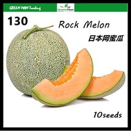 130 Seed Rock Melon 日本网蜜瓜 F1 Hybrid- 10seeds