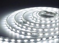 現貨，請睇內文，Philips飛利浦LED燈帶 地盤燈帶  220V直氣燈帶 白光