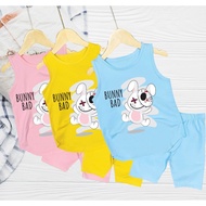 (km) BUNNY BAD rabbit baby girl outfit for babies 6kg to 30kg.BDBG98. .