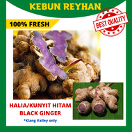 [PRE-ORDER] 100% Fresh Organic 100g Black Turmeric / Halia Hitam / Kunyit Hitam Asli (Ubi / Rizom / 