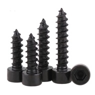 8.8 Self-Tapping m6 Hexagon Socket Hexagon Socket Self-Tapping Screw Black Beauty Self-Tapping Screw