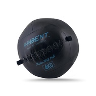Trident Master Premium Wall Ball - 4kg