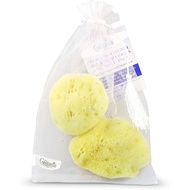 One Piece Centimeter Natural 4constantia Very High-Quality Silk Sponge 24.5 Mediterranean About Make