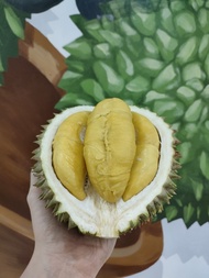 DURIAN FRESH MUSANG KING - UTUH BULAT BERKUALITAS