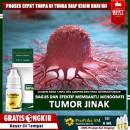Obat Herbal Untuk Tumor Jinak Benjolan Tumor Lipoma Tumor Rahim Tumor Kulit Tumor Kelenjar Mioma Tum