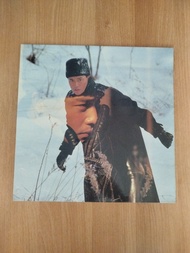 張國榮 黑膠唱片