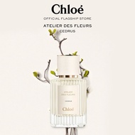 Chloé Atelier Des Fleurs Cedrus Eau De Parfum For Women | Symbol of Loyalty | Woody Sparkling Sensua