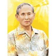 PINN SHOP Cross-Stitch Kit: Luang [CX-EV-CR113]