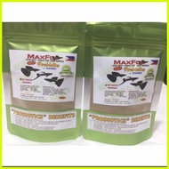 ❐ ⭐ ❡ MAXFLO GUPPY FISHFOOD PROBIOTICS WITH DEWORMER