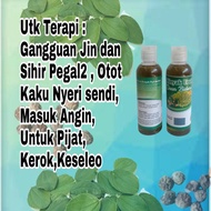 Minyak Urut Pijat Daun Bidara Plus 100ml Harga Termurah Minyak urut bidara  100 ml - Minyak Bidara -