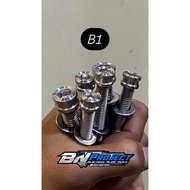 M8 Bolts 12 Stainless Steel Bolts, Custom handmade Coak and Striped model (B1)
