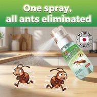 🐜 Eliminates all with one spray 🐜 Ant killer spray semut Ubat semut Racun semut Indoor & Outdoor Use