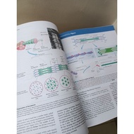 ♞Seeley's Anatomy and physiology 12th edition