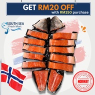 【Fresh Premium Grade】Norwegian Fjord Trout Salmon Fish (3.2-3.4kg)  | Chilled import (South Sea)