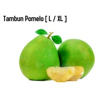 T21 Ipoh Famous Tambun Limau Bali / Tambun Pomelo Sweet &amp; Sweet-sour [ M / L / XL ]