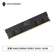 巨蟒 ANACOMDA DDR5-5600 16GB