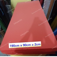 BUSA FOAM BIRU PADAT TILAM BUSA KASUR KURSI MATRAS SOFA TEBAL 2CM