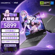 七彩虹（Colorful）隐星G15 24 13代酷睿i7 15.6英寸游戏本笔记本电脑(i7-13620H 16G 512G RTX4060 165Hz 2.5K）
