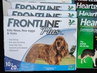 Frontline plus Frontline spray 長期有貨