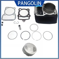PANGOLIN Cylinder kit (62mm) For Ft150 Dt150 /FORZA 150 2007 - 2008 - 2009 - 2010 - 2011 - 2012 - 20