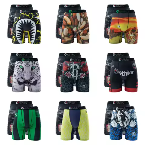 ETHIKA 2Pcs Men Underwear Mesh Breathable Crotch Mens Panties Lingerie Men Underpants Boxershorts Pl