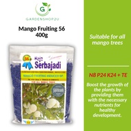 Mango Fruiting Fertiliser 56| Mango Fertiliser| Baja Pengalak Buah Mangga| Baja Mangga| 芒果肥料/ N8 P24