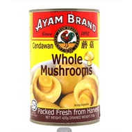Ayam Brand Whole Mushroom 420g / Ayam Brand 整颗蘑菇 420g