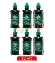 Nn Liquid Chlorophyll คลอโรฟิลล์น้ำ แพค 6 ขวด น้ำคลอโรฟิลล์ คลอโรฟิลล์เข้มข้น คลอโรฟิลล์แท้ ล้างพิษ 