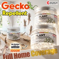Lizard Repellent Gecko Repellent Lizard Killer Cicak Killer Ubat cicak racun cicak 1000m No Lizard 1