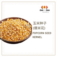 Premium Popcorn Seed | Butterfly Shape 玉米粒 | 爆米花 [500G]