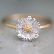 Chrysanthemum north pole ring