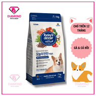 [1KG] (Mua 1 TẶNG 2 HÀNG MẪU)Thức ăn hạt TODAYS DINNEr ADULT DOG dành cho chó trưởng thành TÚI 1KG