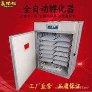 Wholesale Automatic Large Small Chicken Incubator Egg Thermostatic Incubator Small Household Smart Incubator