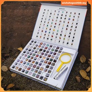 [WishshopeehhhMY] Geology GEM Gems Collection Geology Educational Kit Kids Gemstone Crystal Kit