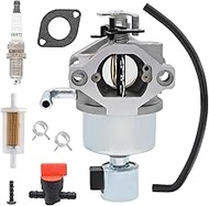 Aylux 594605 Carburetor with Tune up Kits for BS 594603 792768 591734 31N607 31N677 31P607 31P677 Si